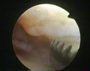 Schermata 2016-04-02 alle 17.08.45