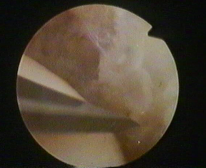 Schermata 2016-04-02 alle 17.08.58