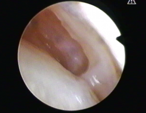 Schermata 2016-04-02 alle 17.09.10