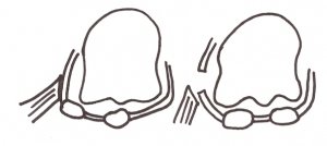 Schermata 2016-04-02 alle 17.09.21