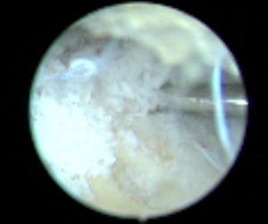 Schermata 2016-04-03 alle 17.36.17