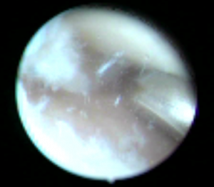 Schermata 2016-04-03 alle 17.36.23