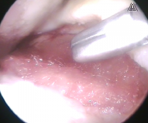 Schermata 2016-04-03 alle 17.36.46