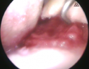 Schermata 2016-04-03 alle 17.36.57