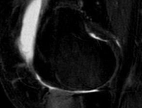 Schermata 2016-04-03 alle 17.50.33