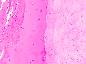 Schermata 2016-04-03 alle 17.50.50