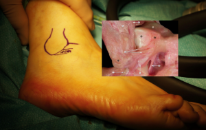 Schermata 2016-04-03 alle 18.06.46