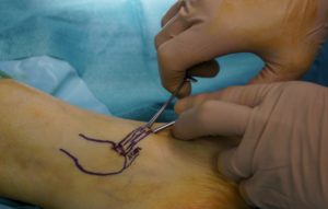 Schermata 2016-04-03 alle 18.07.15