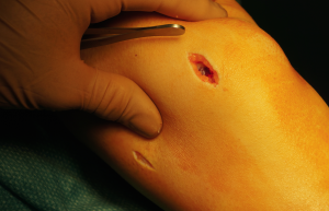 Schermata 2016-04-03 alle 18.22.49