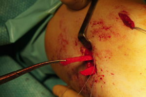 Schermata 2016-04-03 alle 18.24.24